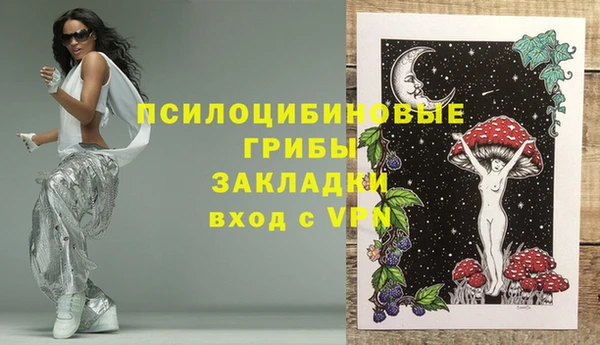 стафф Арсеньев