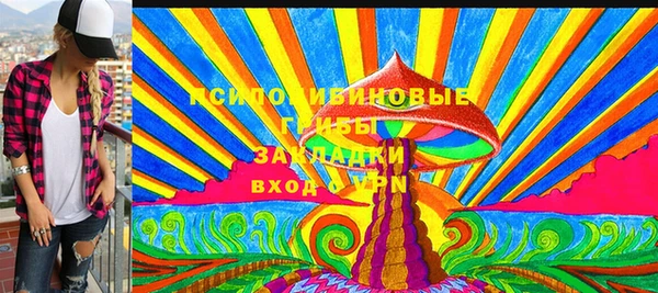 стафф Арсеньев