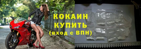 стафф Арсеньев