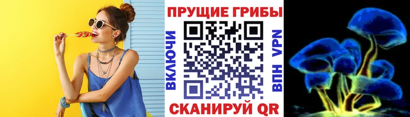 Галлюциногенные грибы Psilocybine cubensis  где можно купить   Спасск-Дальний 